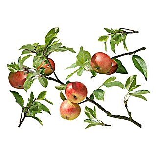 Wandtattoo (Ast mit Äpfel, 48 x 68 cm)