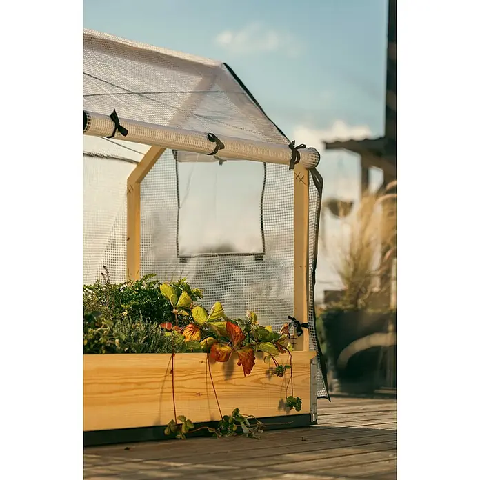 Upyard Hochbeet-Überdachung Schutzrahmen inkl. 3 Abdeckungen - Passend für: Hochbeete 120 × 80 cm - Nahaufnahme eines hölzernen Hochbeets mit transparentem Gewächshausaufsatz und üppigem Grün. Ideal für den Garten und Gemüseanbau.