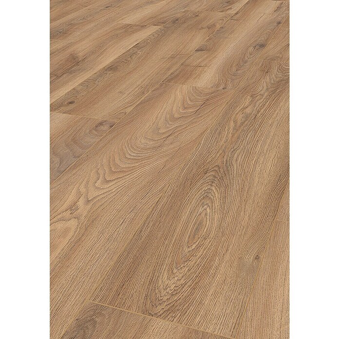 LOGOCLIC Edition Laminat Vinto Sundance Oak (Sundance Oak, Landhausdiele, 1 288 x 245 x 8 mm) | BAUHAUS