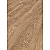LOGOCLIC Edition Laminat Vinto Sundance Oak (Sundance Oak, Landhausdiele, 1 288 x 245 x 8 mm) | BAUHAUS
