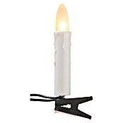 Tween Light Guirnalda luminosa LED (Para interior, 30 luces, Negro, Longitud del cable: 13,05 m)
