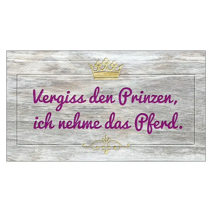 ProArt Type Hype Decopanel - Vergiss den Prinzen ..., B x H: 30 x 15 cm - Dekoratives Schild mit der Aufschrift "Vergiss den Prinzen, ich nehme das Pferd" und goldenen Verzierungen.
