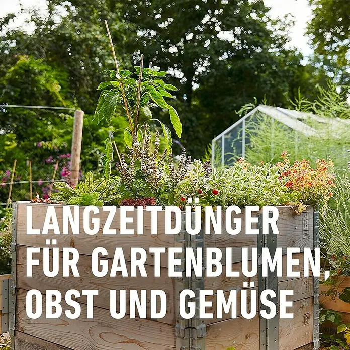 Compo Langzeitdünger Garten - 2 kg, Max. Anwendungsfläche: 37 m² - Hochbeet mit üppigen Gartenblumen, Obst und Gemüse. Langzeitdünger für gesunde Pflanzen.