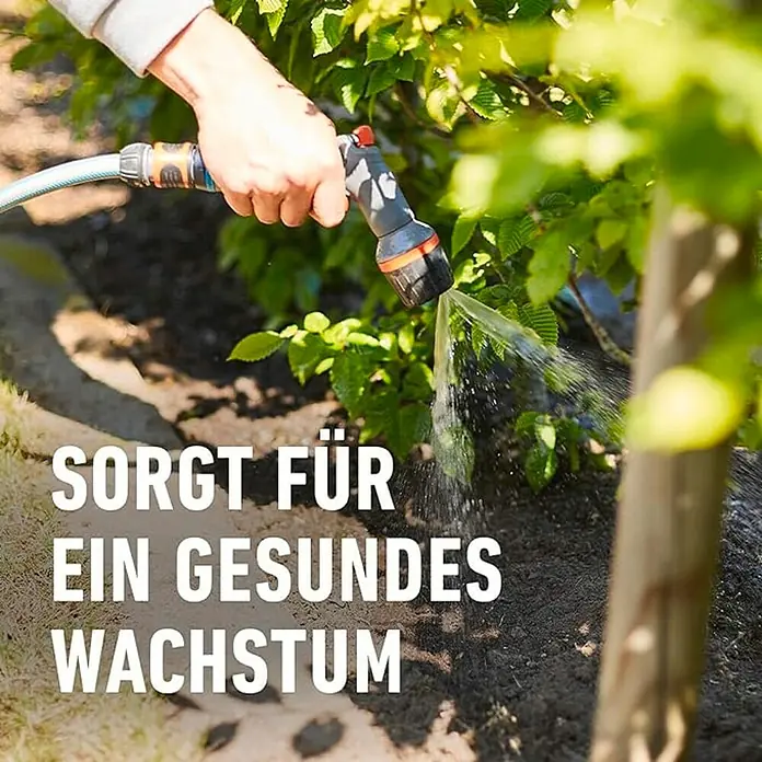Compo Langzeitdünger Bäume, Hecken, Sträucher - 2 kg - Bild einer Person, die mit einer Gardena-Brause Pflanzen bewässert. Fördert gesundes Wachstum und Vitalität im Garten.