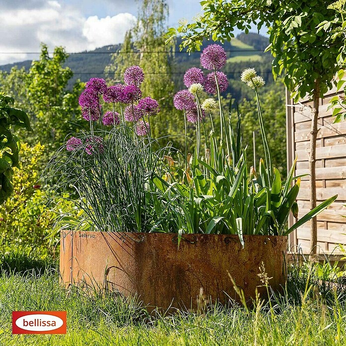 Bellissa Hochbeet Corten (110 x 50 cm)