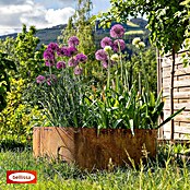Bellissa Hochbeet Corten (110 x 50 cm)