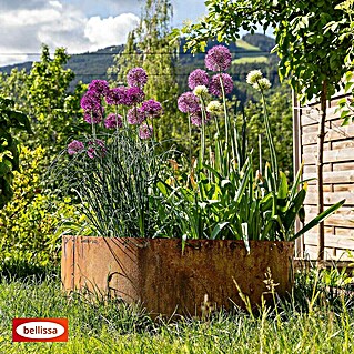 Bellissa Hochbeet Corten (Ø x H: 110 x 50 cm, Stahl, Bronze)