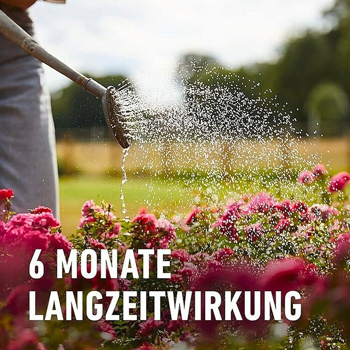 Compo Langzeitdünger Rosen (2 kg) | BAUHAUS
