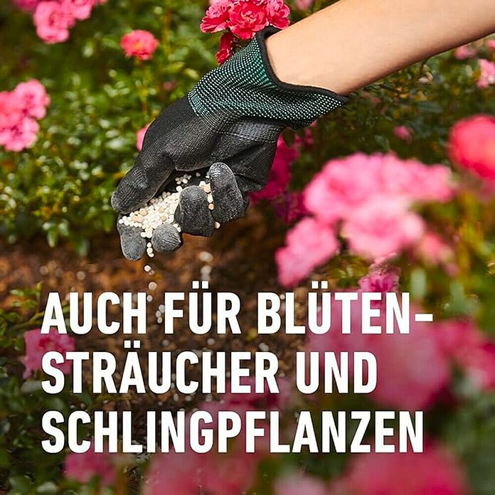 Compo Langzeitdünger Rosen (2 kg) | BAUHAUS