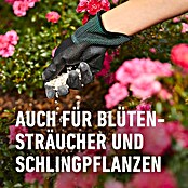 Compo Langzeitdünger Rosen (2 kg) | BAUHAUS