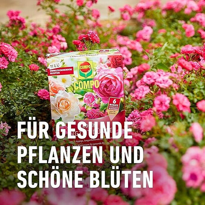 Compo Langzeitdünger Rosen (2 kg) | BAUHAUS