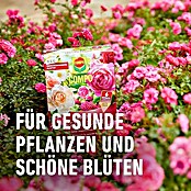 Compo Langzeitdünger Rosen (2 kg) | BAUHAUS