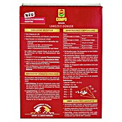Compo Langzeitdünger Rosen (2 kg) | BAUHAUS