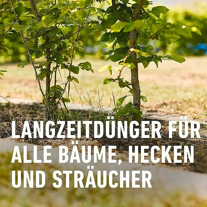 Compo Langzeitdünger Bäume, Hecken, Sträucher - 2 kg - Langzeitdünger für alle Bäume, Hecken und Sträucher. Perfekt für einen gesunden Garten!