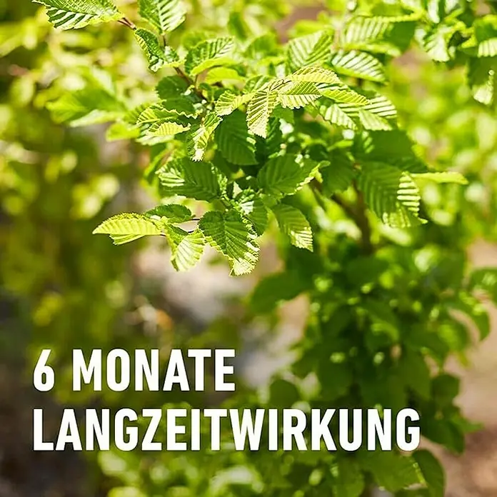 Compo Langzeitdünger Bäume, Hecken, Sträucher - 2 kg - Produktbild mit dem Text "6 Monate Langzeitwirkung", der die langanhaltende Wirkung des Produkts hervorhebt.
