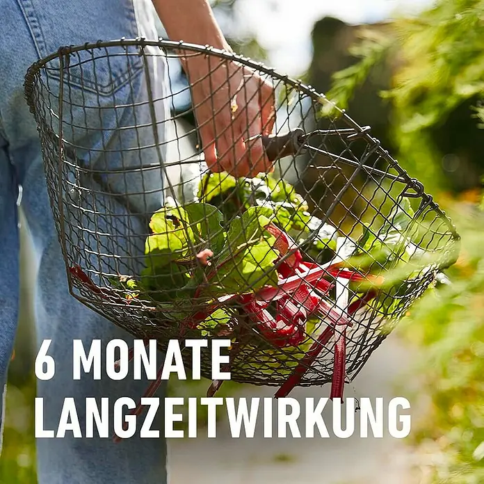 Compo Langzeitdünger Garten - 2 kg, Max. Anwendungsfläche: 37 m² - Nahaufnahme einer Person, die einen Drahtkorb voller frisch geerntetem Gemüse hält, mit dem Text "6 Monate Langzeitwirkung".