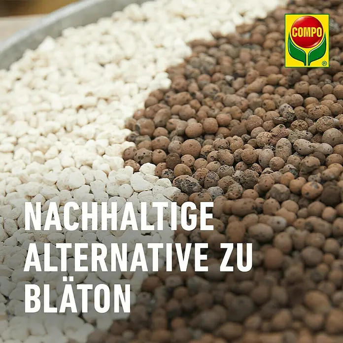saatgut tomaten bio Bio-Tomaten Samen-Set kaufen main image 0