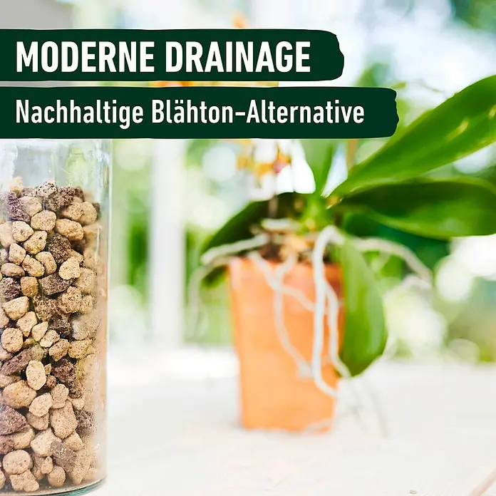 Compo Bio Pflanzgranulat Granuplant Orchideen - 3 l - Nachhaltige Blähton-Alternative für moderne Drainage in einem Glas, neben einer Pflanze.