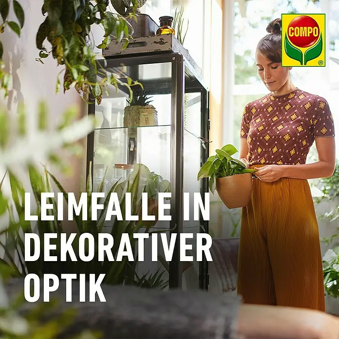Compo Gelb-Sticker - 10 Stk. - COMPO Leimfalle in dekorativer Optik. Die Falle schützt Zimmerpflanzen zuverlässig vor lästigen Schädlingen und ist dabei noch ein echter Hingucker.