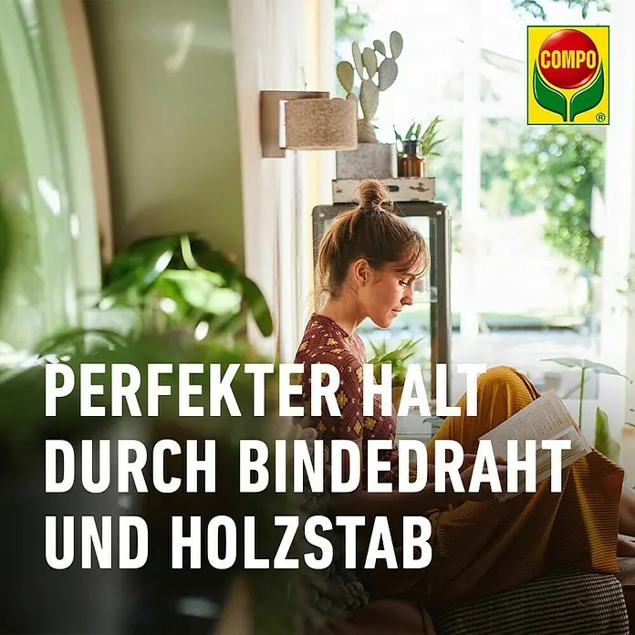 Compo Gelb-Sticker - 10 Stk. - COMPO Produkte für perfekten Halt im Garten: Bindedraht und Holzstab für Pflanzen, gesehen im Wohnzimmer.