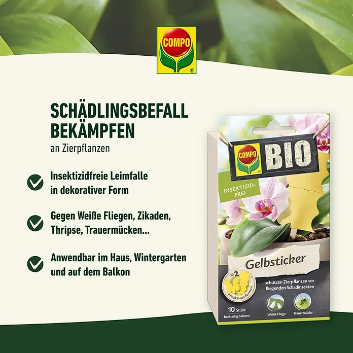 Compo Gelb-Sticker - 10 Stk. - Schädlingsbekämpfung mit Compo Gelbstecker: Insektizidfreie Leimfalle in dekorativer Form, anwendbar im Haus, Wintergarten und auf dem Balkon.