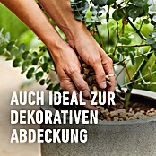 Compo Bio Pflanzgranulat Granuplant® (25 l) | BAUHAUS
