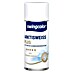 swingcolor Wandfarbe Ausbesserungsspray Arktisweiß Plus 