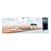 Resopal Küchenrückwand Fixmaß (Beech Grasses, 305 x 62 cm, Stärke: 15,4 mm, Holz)