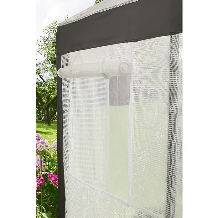 Gewächshaus - Außenmaß inkl. Dachüberstand (B x T): 180 x 240 cm, Material Seitenwand: Kunststoff, Transparent - Detailansicht eines Gewächshausfensters mit aufgerolltem, transparentem Schutz, um die Belüftung zu regulieren.