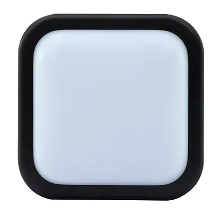 Ritter Leuchten  LED-Wandleuchte