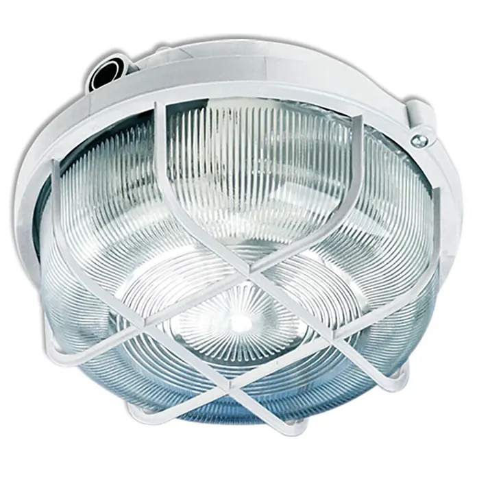 Ritter Leuchten LED-Wand- & Deckenleuchte rund - 7 W, Ø x H: 200 x 105 mm, Weiß, Warmweiß - Robuste runde Deckenleuchte mit transparentem Glas und weißem Schutzgitter für den Innen- und Außenbereich.