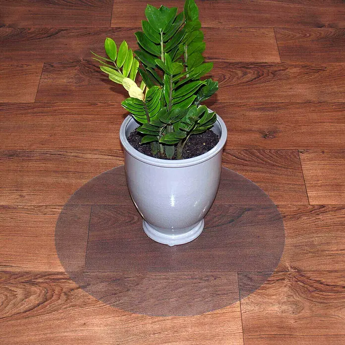 Fußbodenschutzmatte - Transparent, Kunststoff, Durchmesser: 60 cm - Nahaufnahme einer Zamioculcas-Pflanze in einem Topf auf einer transparenten Bodenschutzmatte, die den Holzboden vor Kratzern schützt.