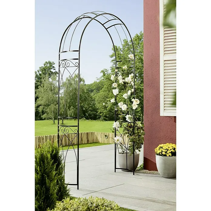 Gardol Rosenbogen Bella - Schwarz, 36 x 131 x 240 cm - Bild einer Rosenbogen-Gartenlaube aus schwarzem Metall, die mit weißen Rosen geschmückt ist und eine elegante Gartendekoration darstellt.