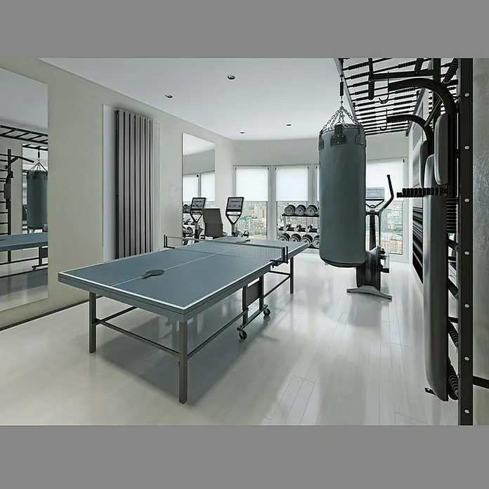 ECD Germany Badheizkörper Vertikal Paneelheizkörper Handtuchwärmer mit Eckform Thermostatventil - B x H: 48 x 140 cm, Anthrazit - Blick in einen Fitnessraum mit Tischtennisplatte, Hanteln und Boxsack. Ideal für Sport und Spiel in den eigenen vier Wänden.