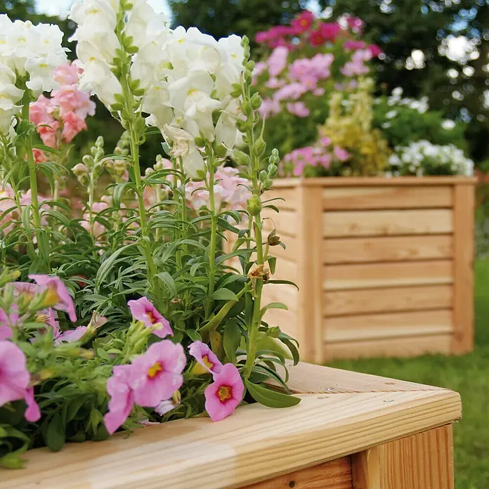Pflanzkasten Rhombus - Holz, Natur - Nahaufnahme eines Holzkastens mit bunten Blumen. Perfekt für Gartenliebhaber, die eine stilvolle Möglichkeit suchen, ihre Pflanzen zu präsentieren.