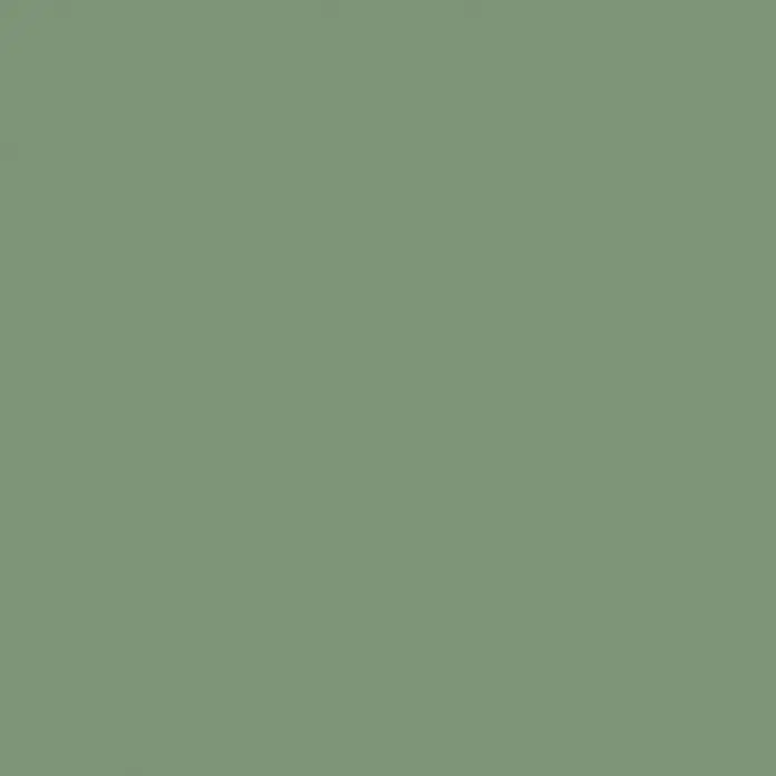 swingcolor 2in1 Fußbodenfarbe / Flüssig Kunststoff 2in1 RAL 6011 - Resedagrün, 2,5 l, Seidenmatt - Grüner Hintergrund mit subtilen geometrischen Mustern, ideal für Designs mit natürlicher Ästhetik und ruhiger Wirkung.