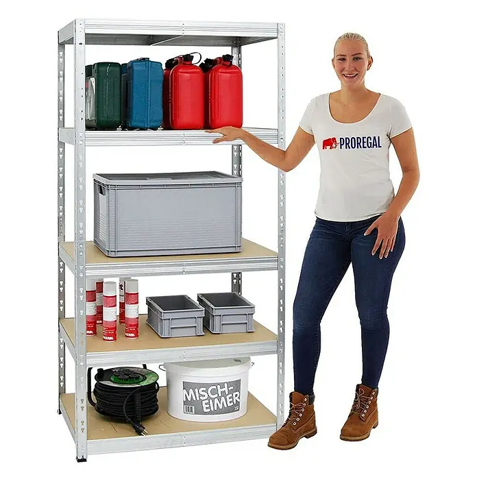 Proregal Schwerlastregal Mega Deal Tiger - H x B x T: 180 x 180 x 60 cm, Traglast pro Boden: 265 kg, Anzahl Böden: 5 Stk., Stecken, Verzinkt - Ein stabiles, silbernes Metallregal mit fünf Regalböden, beladen mit verschiedenen Gegenständen und einer Frau daneben.
