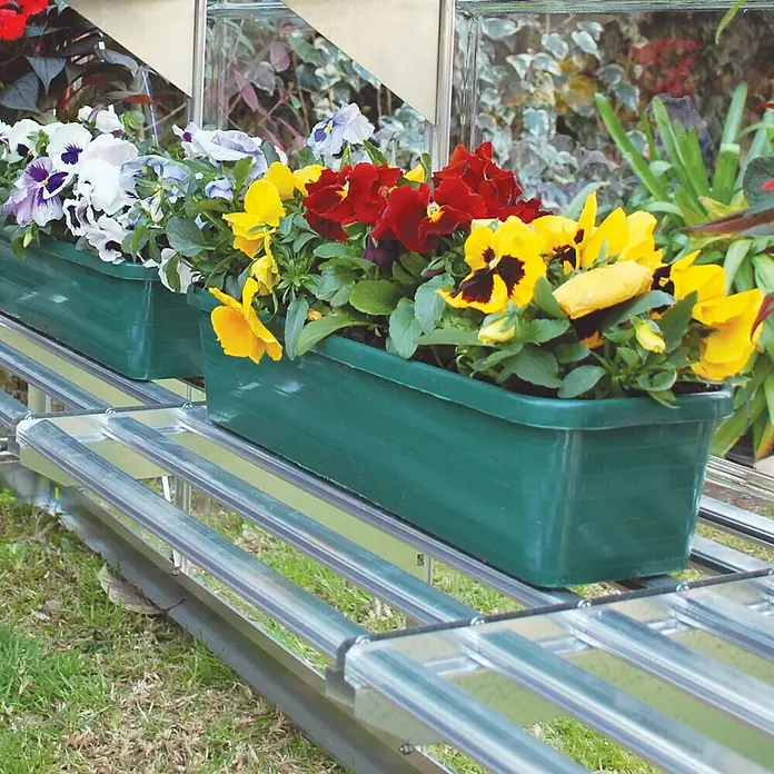 Palram – Canopia Gewächshaus-Einlegeboden Heavy Duty - 58 x 42 x 22 cm, 1 Stk. - Nahaufnahme von grünen Pflanzkästen mit bunten Stiefmütterchen auf einem Regal im Garten.