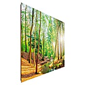 Reinders Glasbild Spring Woods (Spring Woods, B x H: 100 x 140 mm) | BAUHAUS