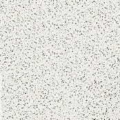 Terrassenplatte Bianco Nero (Bianco Nero, 40 x 60 x 4 cm, Beton, 2D Optik)