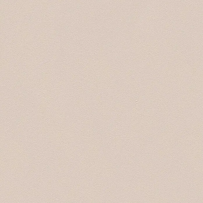 A.S. Création Vliestapete Glatte Wand Meistervlies 5 - Cappuccino, Uni, 10,05 x 0,53 m - Elegante, einfarbige Tapete in zartem Rosé mit feiner Struktur. Schafft eine warme und einladende Atmosphäre in jedem Raum.