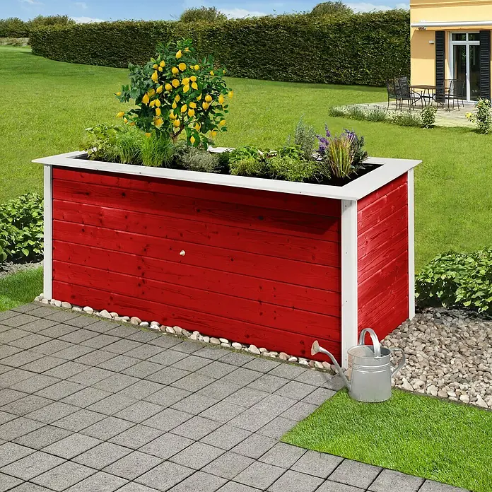 Weka Hochbeet C - 205 x 80 x 81 cm, Holz, Schwedenrot/Weiß - Roter Pflanzkasten mit weißen Akzenten, bepflanzt mit Zitronenbaum und Kräutern, steht im Garten. Eine Gießkanne steht daneben.