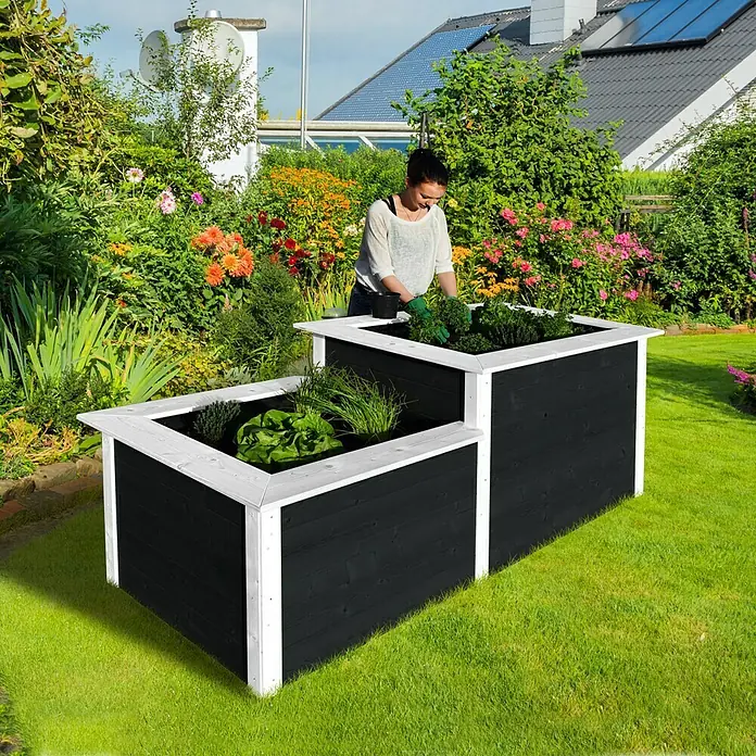 Weka Hochbeet - 205 x 79 x 81 cm, Holz, Anthrazit/Weiß, Stufenhochbeet - Schwarzer Pflanzkasten mit weißem Rahmen im Garten, bepflanzt mit Gemüse. Eine Frau arbeitet im Hintergrund im Garten.