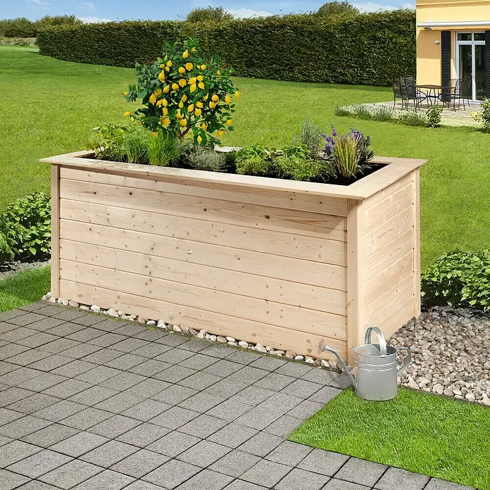 Weka Hochbeet C - 205 x 80 x 81 cm, Holz, Natur - Holzpflanzkasten mit Zitronenbaum und Kräutern, ideal für Garten oder Terrasse. Die Bewässerungskanne steht bereit.