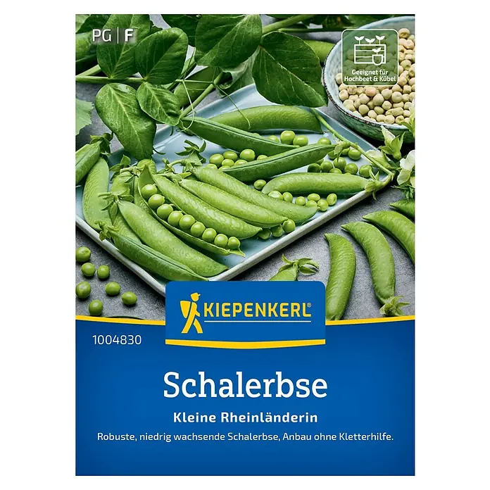 Kiepenkerl Erbsenpflanze Kleine Rheinländerin - Pisum sativum sativum, Erntezeit: Juni - Abbildung einer 'Schalerbse'-Samenpackung von Kiepenkerl, einer robusten, niedrig wachsenden Erbsensorte für den Anbau ohne Kletterhilfe.