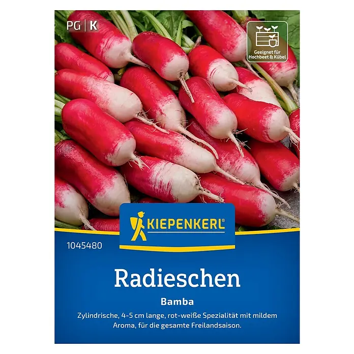 Kiepenkerl Gemüsesamen Radieschen Bamba - Raphanus sativus sativus, Erntezeit: April - Das Bild zeigt eine Packung Radieschensamen der Sorte Bamba von Kiepenkerl, geeignet für Hochbeete und Kübel. Die Radieschen sind zylindrisch, rot-weiß und haben ein mildes Aroma.