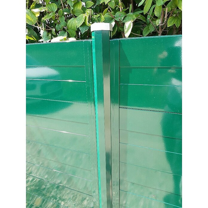 H+S Zauntechnik U-Profil RPC (L x B x H: 30 x 50 x 1 240 mm, RAL 6005 Moosgrün, Aluminium) | BAUHAUS