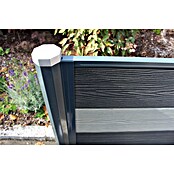 H+S Zauntechnik U-Profil RPC (L x B x H: 30 x 25 x 1 240 mm, RAL 7016 Anthrazit, Aluminium) | BAUHAUS