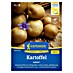 Kiepenkerl Profi-Line Pflanzkartoffeln Jubila® F1 