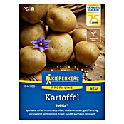 Kiepenkerl Profi-Line Pflanzkartoffeln Jubila® F1 (Solanum tuberosum, 7 Stk., Erntezeit: August) | BAUHAUS